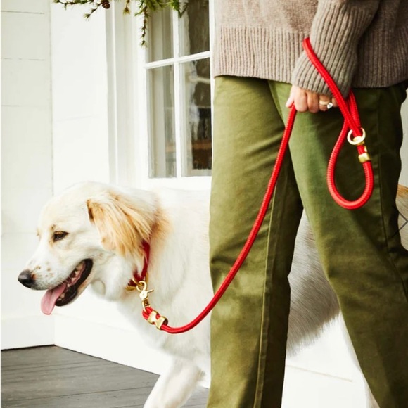 NEW The Foggy Dog Ruby Marine Rope Dog Leash (5ft Petite) - Picture 3 of 9